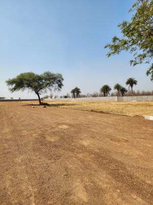 Residential land / Plot in Mandir Hasaud, Raipur
