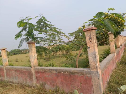 Residential land / Plot in Block L Sector-20 Yamuna Expressway, Greater Noida