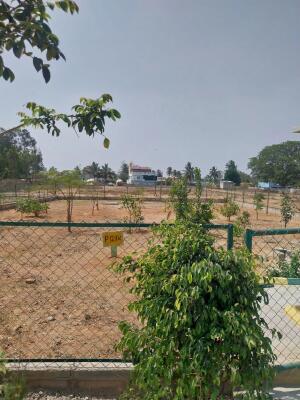 Residential land / Plot in Hoskote, Bangalore