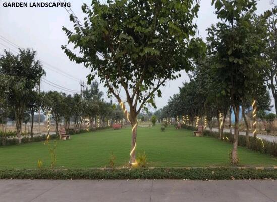 Residential land / Plot in Guma, Raipur
