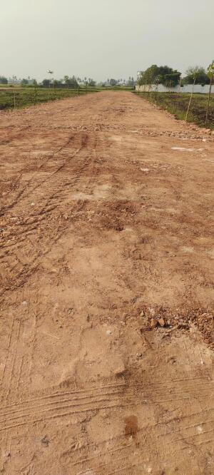 Residential land / Plot in Lam, Guntur
