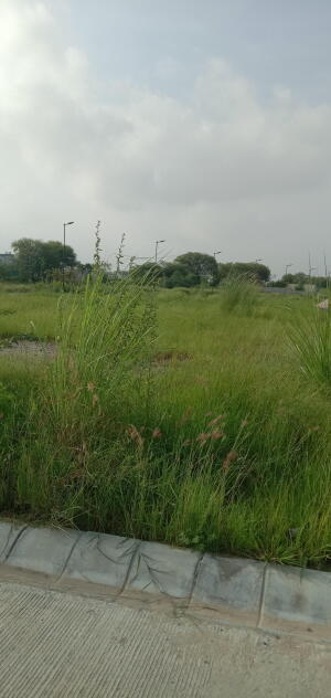 Residential land / Plot in Yakubpur, Jhajjar