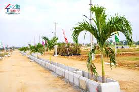 Plots for sale in Kondurg, Tri Disha, T homes
