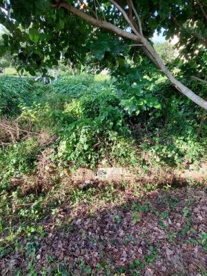 Residential land / Plot in Anjanapura 1st block, Lal Bahadur Shastri Nagar, Bangalore
