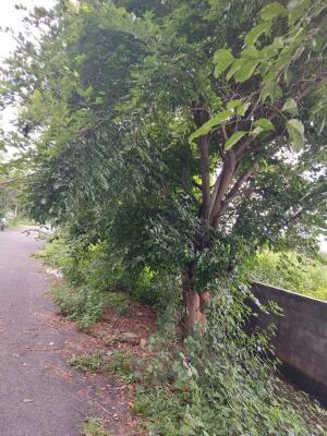 Residential land / Plot in Anjanapura 1st block, Lal Bahadur Shastri Nagar, Bangalore