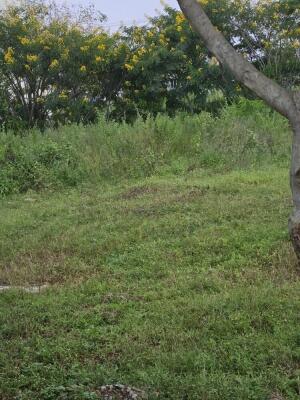 Residential land / Plot in Anjanapura 1st block, Lal Bahadur Shastri Nagar, Bangalore
