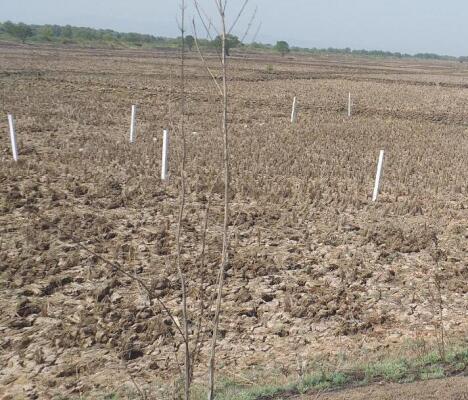 Residential land / Plot in Panvel, Navi Mumbai