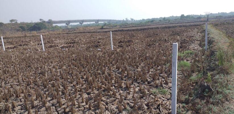 Residential land / Plot in Panvel, Navi Mumbai