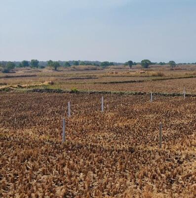 Residential land / Plot in Panvel, Navi Mumbai