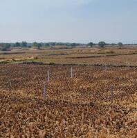 Residential land / Plot in Panvel, Navi Mumbai