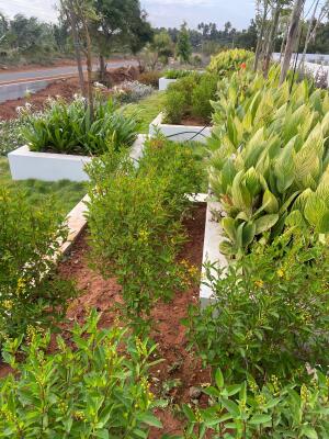 Residential land / Plot in Kannampalayam, Coimbatore