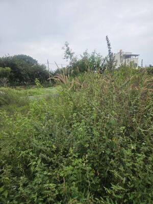 Residential land / Plot in Anjanapura 1st block, Lal Bahadur Shastri Nagar, Bangalore
