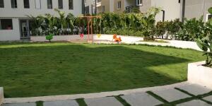 3 Bedroom House in Pragathi Nagar, Hyderabad
