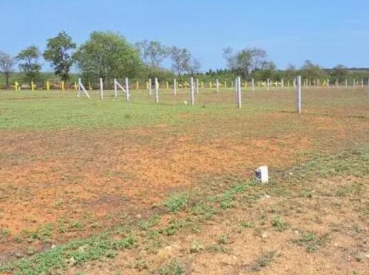 Residential land / Plot in Uran, Navi Mumbai