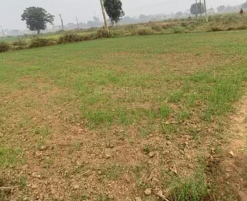 Residential land / Plot in Uran, Navi Mumbai