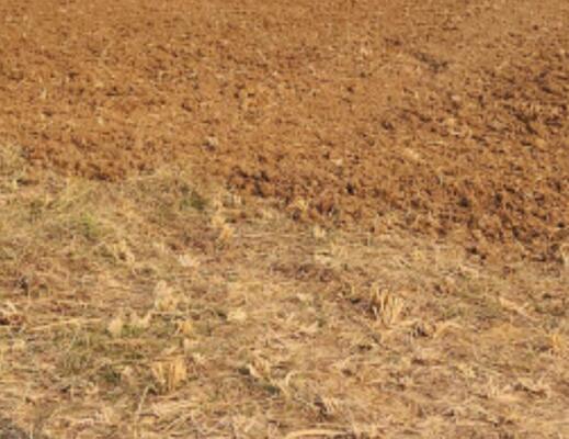 Residential land / Plot in Uran, Navi Mumbai