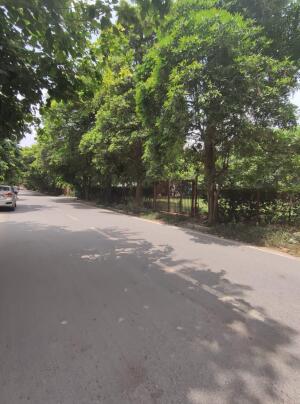 Residential land / Plot in Malibu Town, Gurgaon