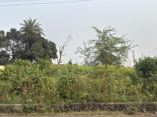 Residential land / Plot in Pinjore, Panchkula