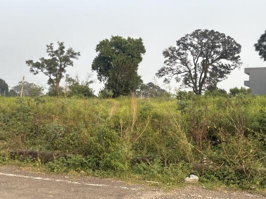 Residential land / Plot in Pinjore, Panchkula
