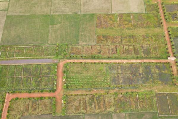 Residential land / Plot in Phulnakhara, Bhubaneswar