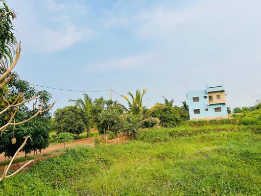 Residential land / Plot in Phulnakhara, Bhubaneswar