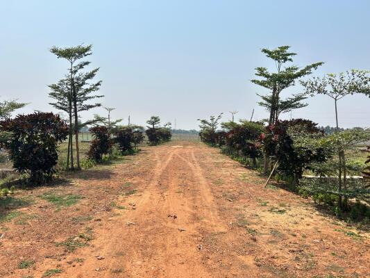 Residential land / Plot in Phulnakhara, Bhubaneswar
