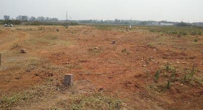Residential land / Plot in Pen, Raigad