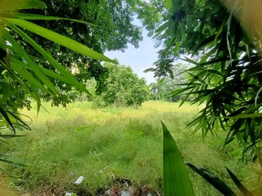 Residential land / Plot in Greenwood City, Gurgaon