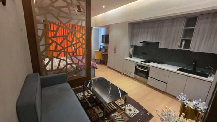 1 BHK Flat in Sector 4, Greater Noida West