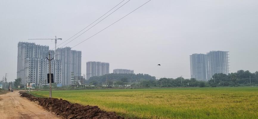 Residential land / Plot in Palakaluru Road, Guntur