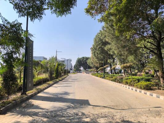 Residential land / Plot in Sector 105 Mohali