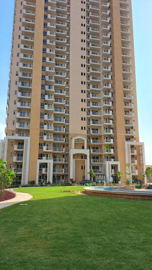 3 BHK Flat in Sector 77, Gurgaon