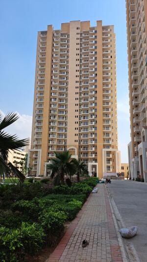 3 BHK Flat in Sector 77, Gurgaon