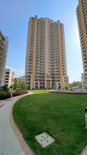 3 BHK Flat in Sector 77, Gurgaon