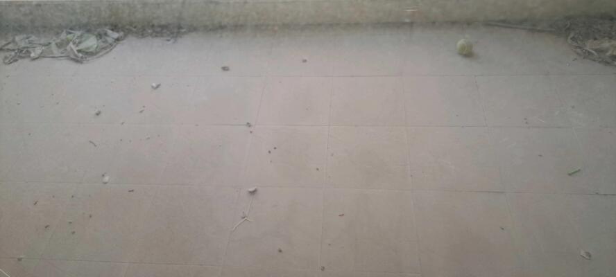 3 BHK Flat in Sector 77, Gurgaon