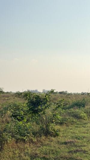 Residential land / Plot in Sector 25 Yeida, Greater Noida