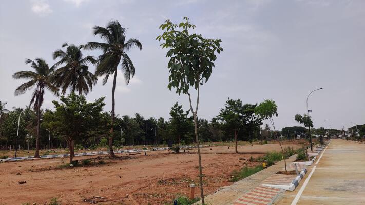 Residential land / Plot in Doddaballapur, Doddaballapur Road