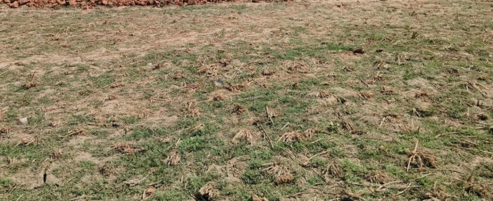 Residential land / Plot in Chirora, Patna