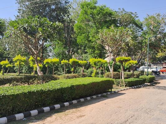 Residential land / Plot in Sector 105 Mohali