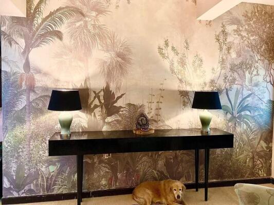 6 Bedroom House in A Block Sector 26, Noida