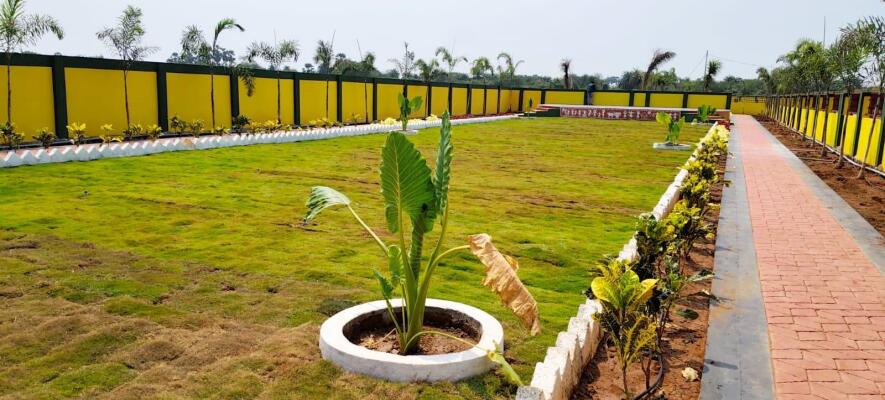 Residential land / Plot in Pamarru, Vijayawada