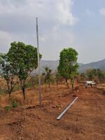 Residential land / Plot in Velhe, Pune