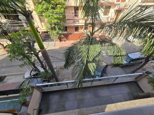 8 Bedroom House in Sector 26, Noida