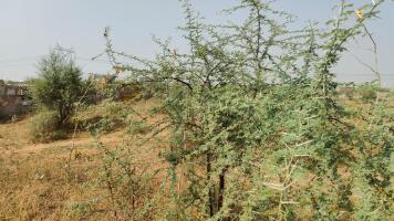Residential land / Plot in Ring Road, Jaipur