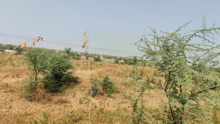 Residential land / Plot in Ring Road, Jaipur