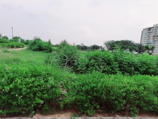 Residential land / Plot in Ajmer Road, Jaipur