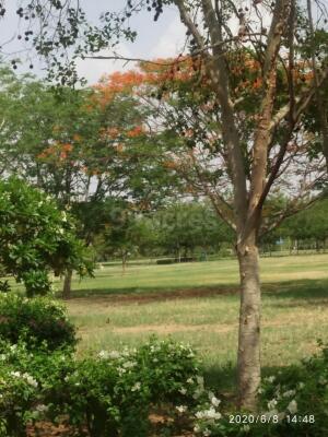 Residential land / Plot in Ajmer Road, Jaipur