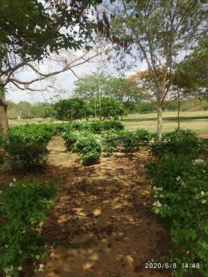Residential land / Plot in Ajmer Road, Jaipur