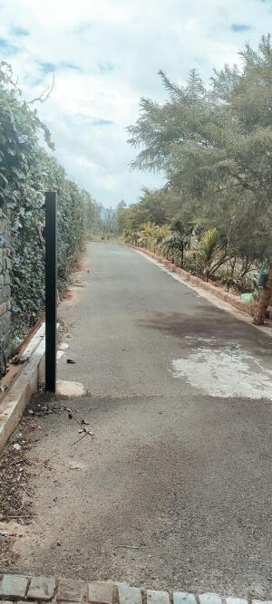 Residential land / Plot in Anaikatti, Coimbatore