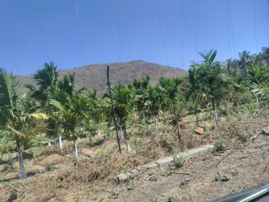 Residential land / Plot in Anaikatti, Coimbatore